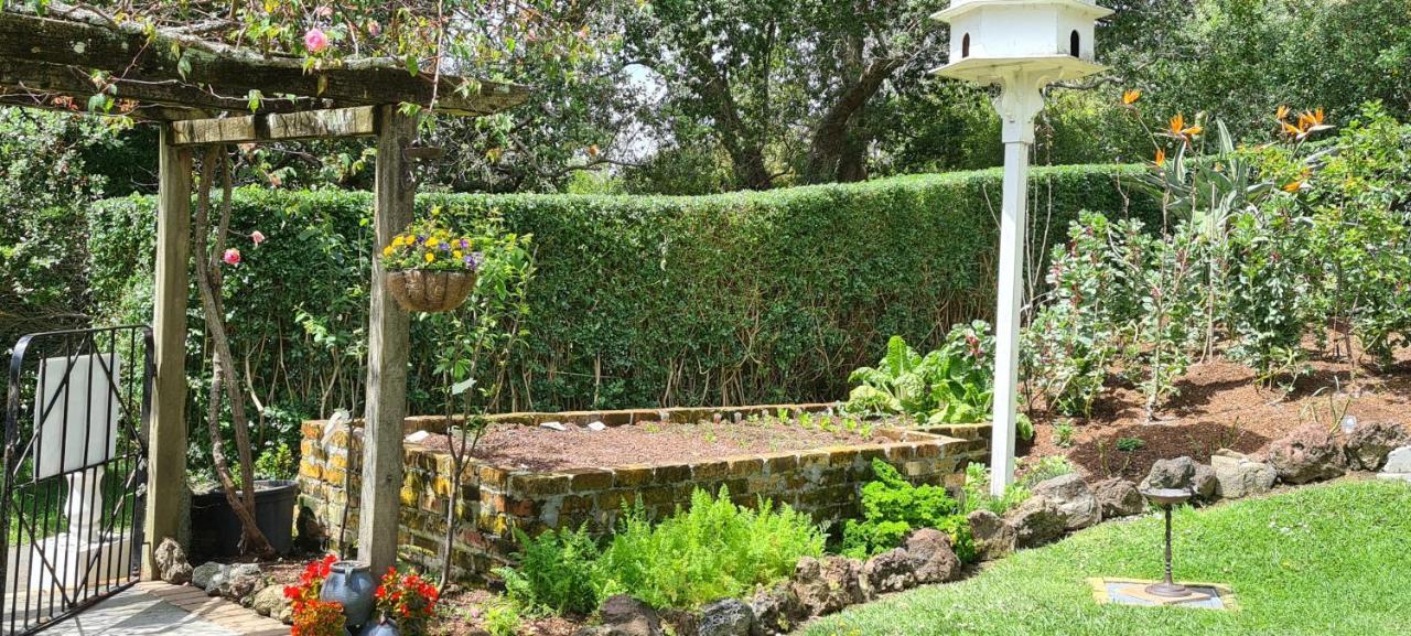 Dovecote House Bed & Breakfast Auckland Luaran gambar