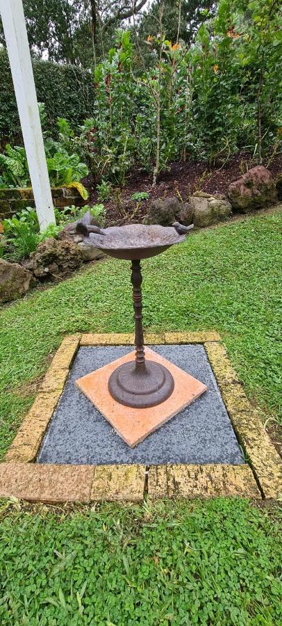 Dovecote House Bed & Breakfast Auckland Luaran gambar