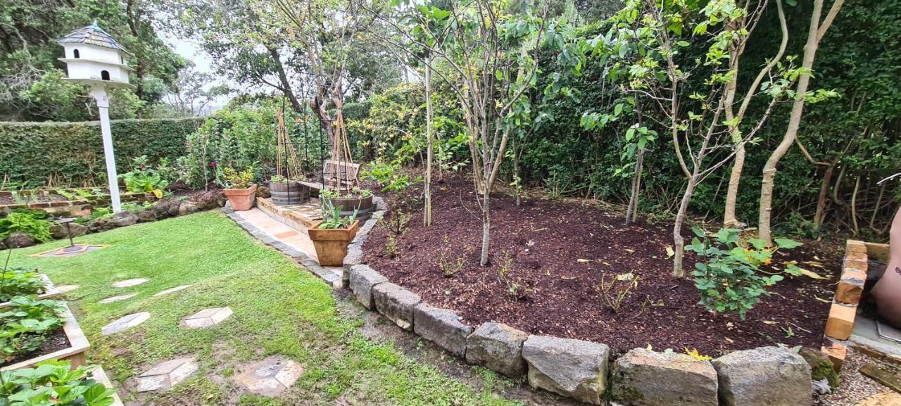 Dovecote House Bed & Breakfast Auckland Luaran gambar